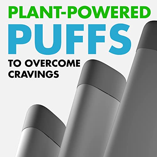 Quit Smoking and Quit Puffer for Oral Fixation Relief - Soft Tip Behavioral Aid Support When You Want to Quit Smoking (Peppermint) 1PK