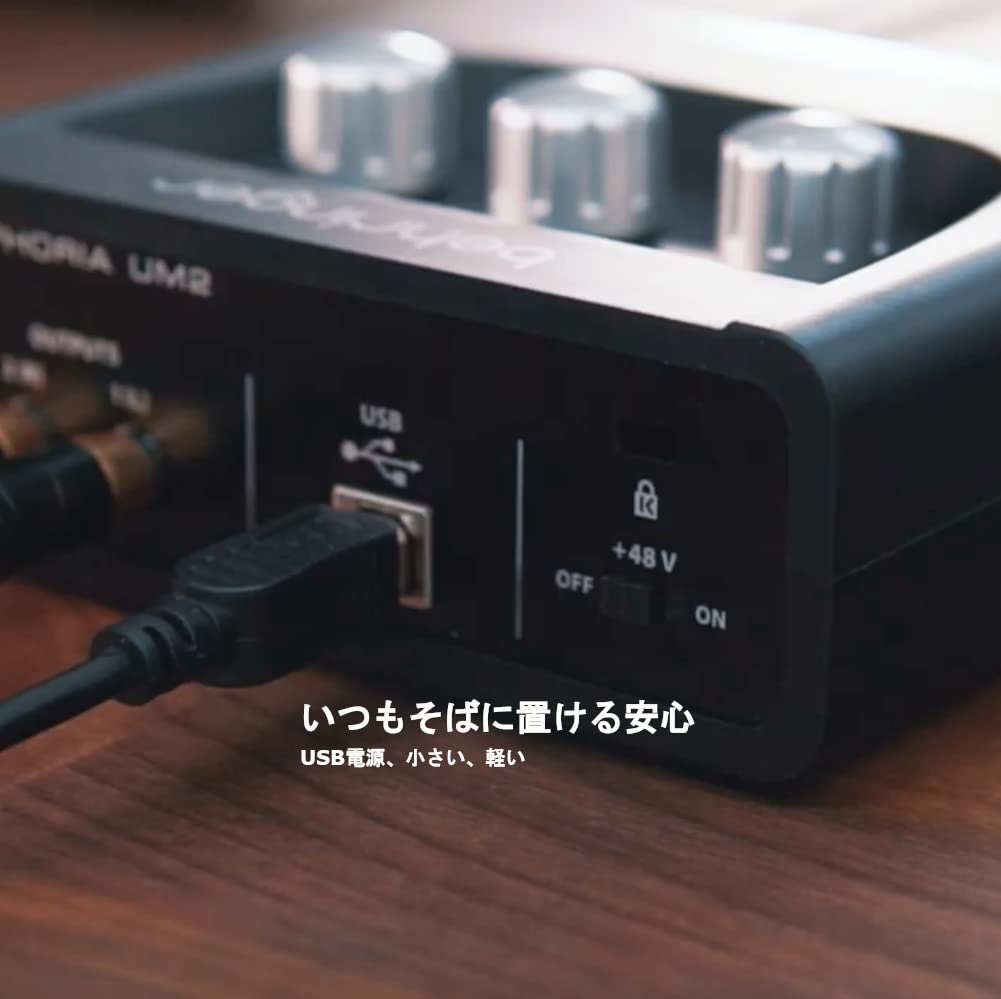 Behringer U-Phoria UM2 USB Audio Interface