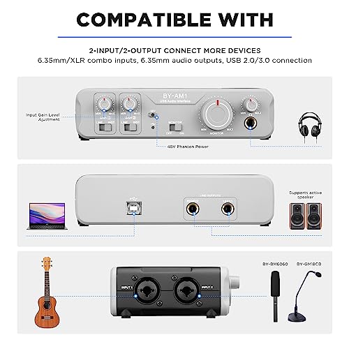 BOYA Audio Interface for for The Guitarist, Vocalist, Podcaster, Producer 44.1k-192kHz High-Fidelity Audio Mixer for Recording, Streaming Computers Microphone with XLR/6.35MM/48V Phantom Power by-AM1