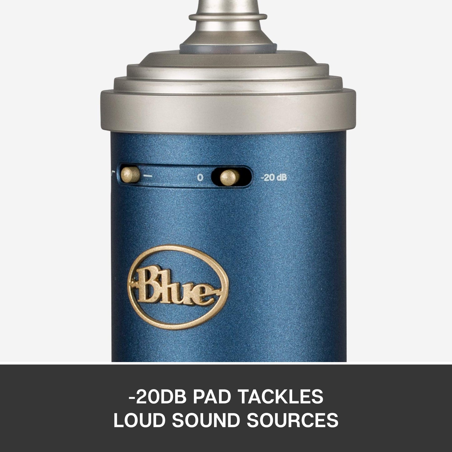 Blue Microphone Bluebird SL XLRCardioid Condenser Microphone for Recording, Streaming, Podcasting, Gaming, Mic with Large Diaphragm Cardioid Capsule, Shockmount and Protective Case